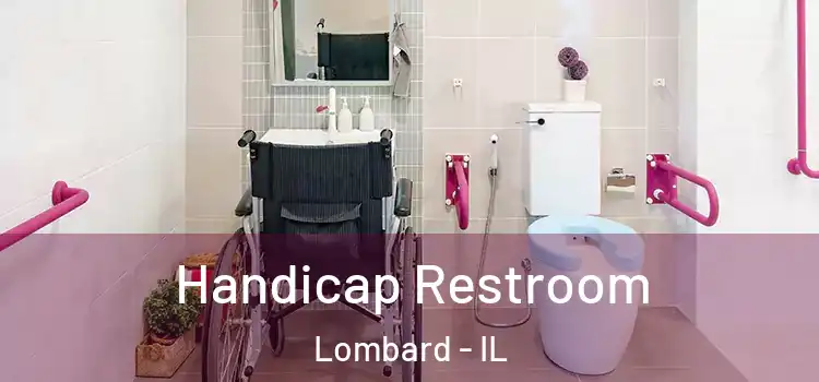  Handicap Restroom Lombard - IL