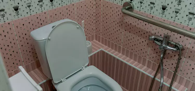 Meeting Diverse Needs With Accessible Restroom Solutions in Lombard, IL